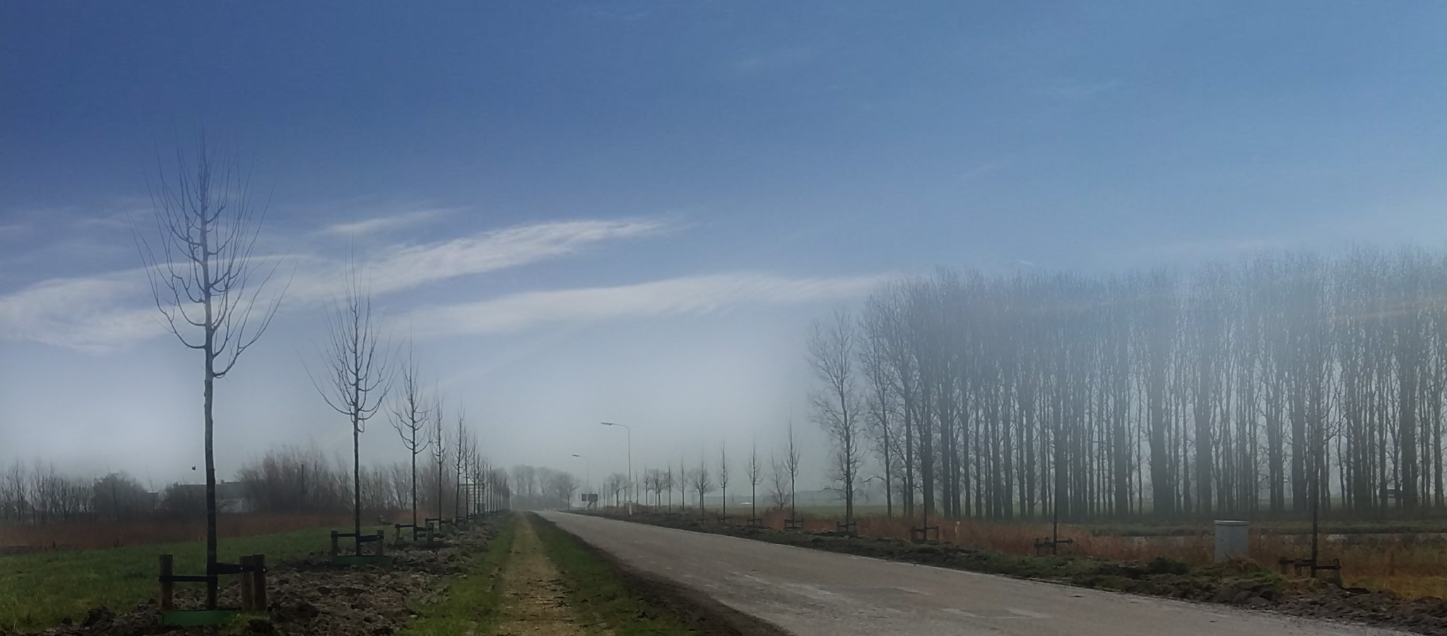 nieuwbouw_elfstedenwijk_franeker_bomen_stimpelpost